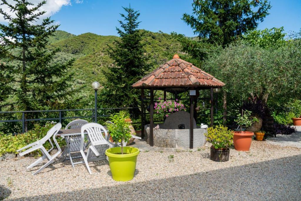 Antica Macina - “La Taverna” Rocchetta Nervina Kültér fotó